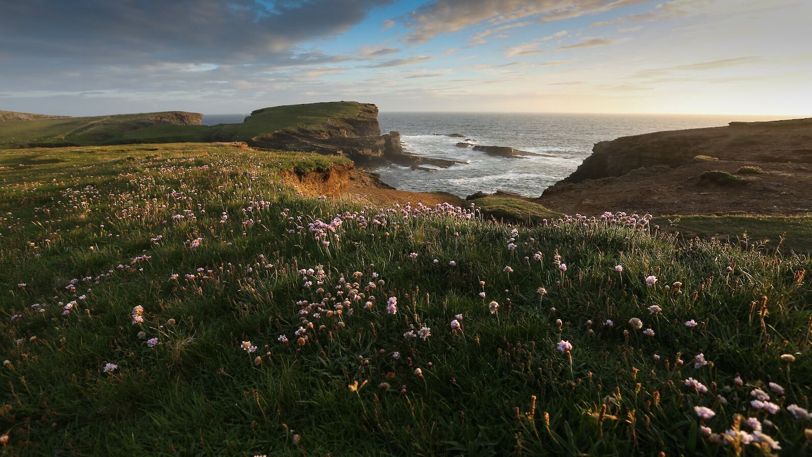 Looking towards the Brough of Bigging at Yesnaby