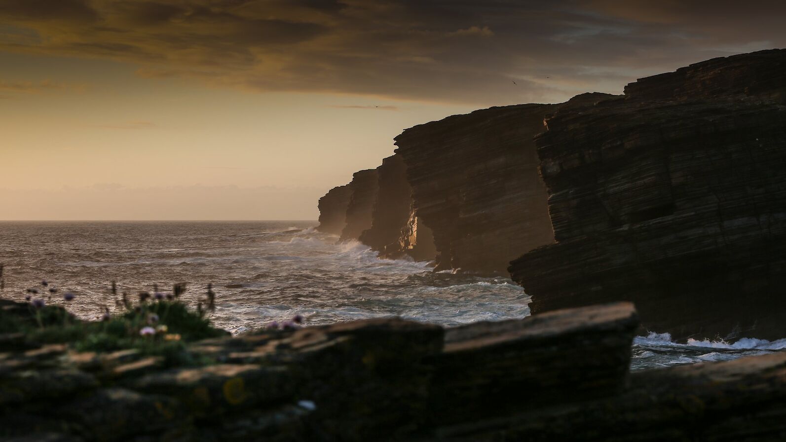 The view north at Yesnaby