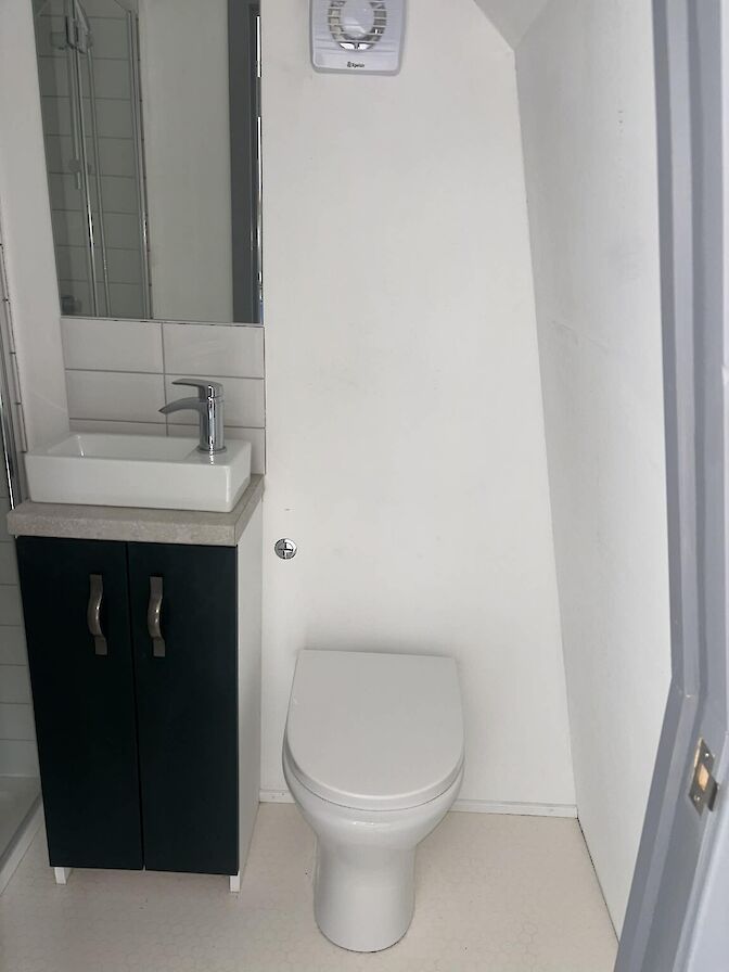 Toilet with shower