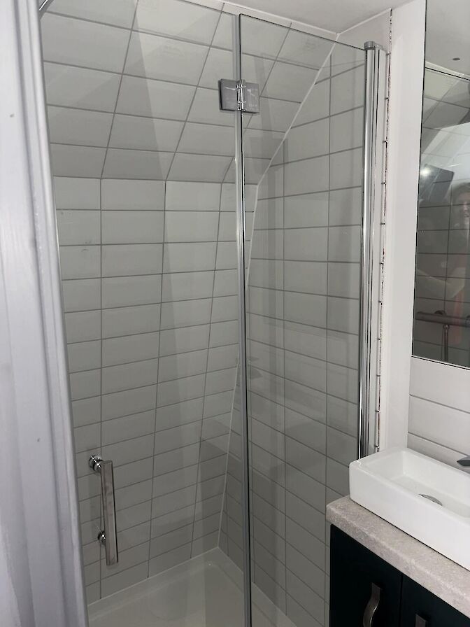 Toilet with shower