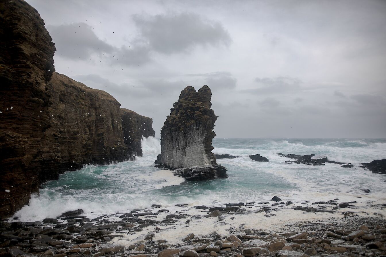 Sea stack, Roseness, Orkney