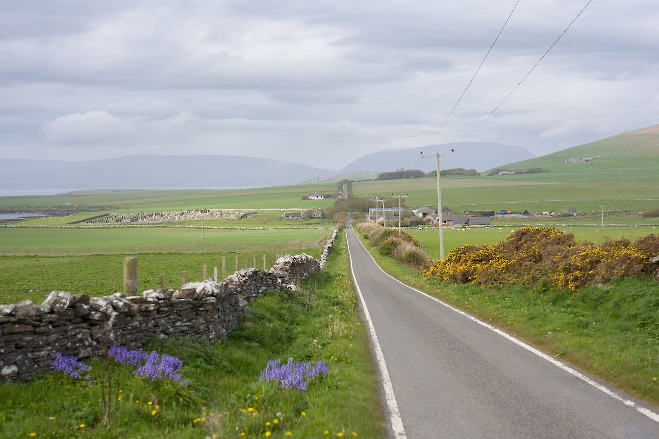 View towards the Earl's Bu, Orkney