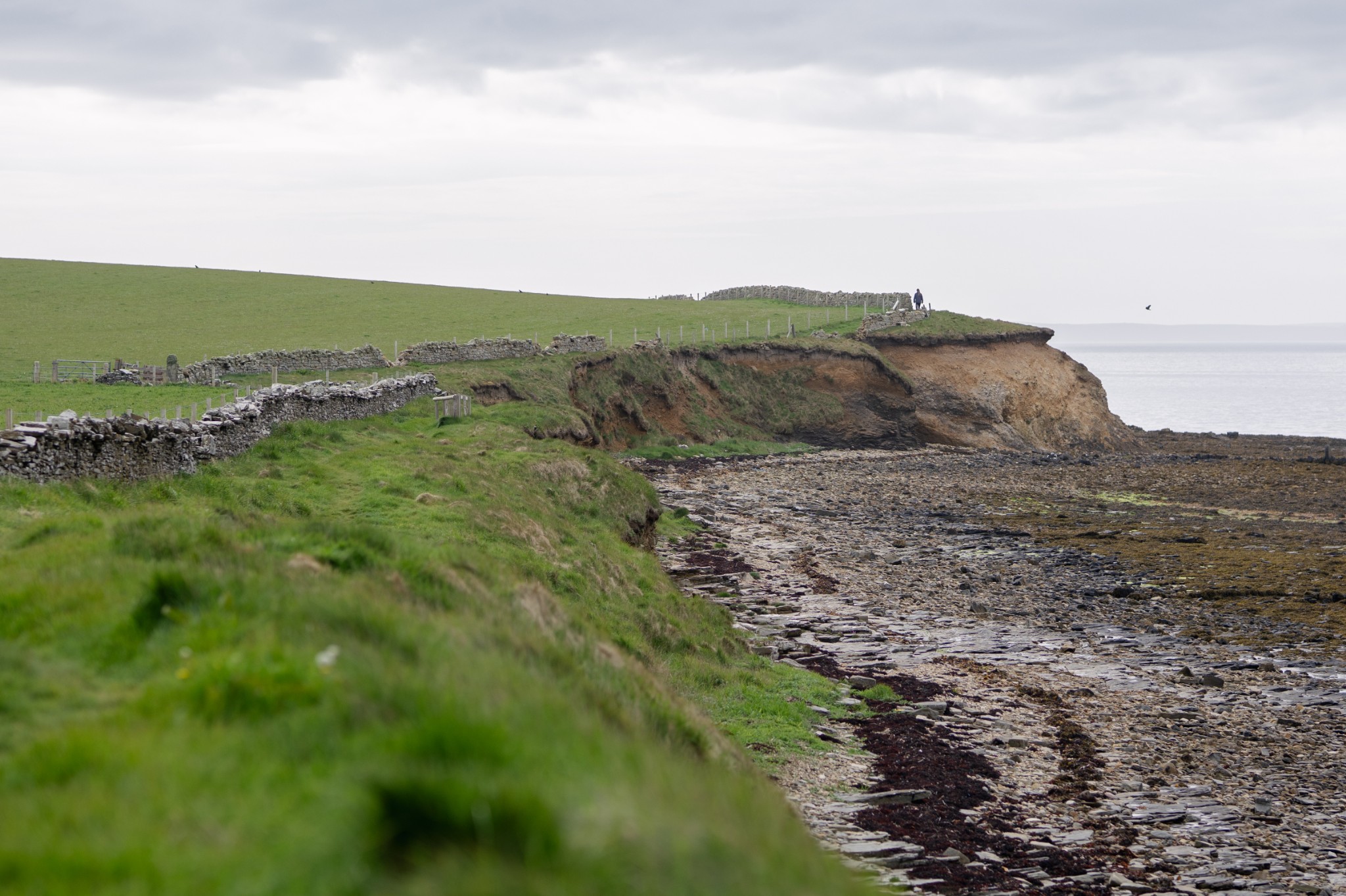 View along the coast at the Earl's Bu, Orkney