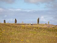 Nature Through Time at Brodgar