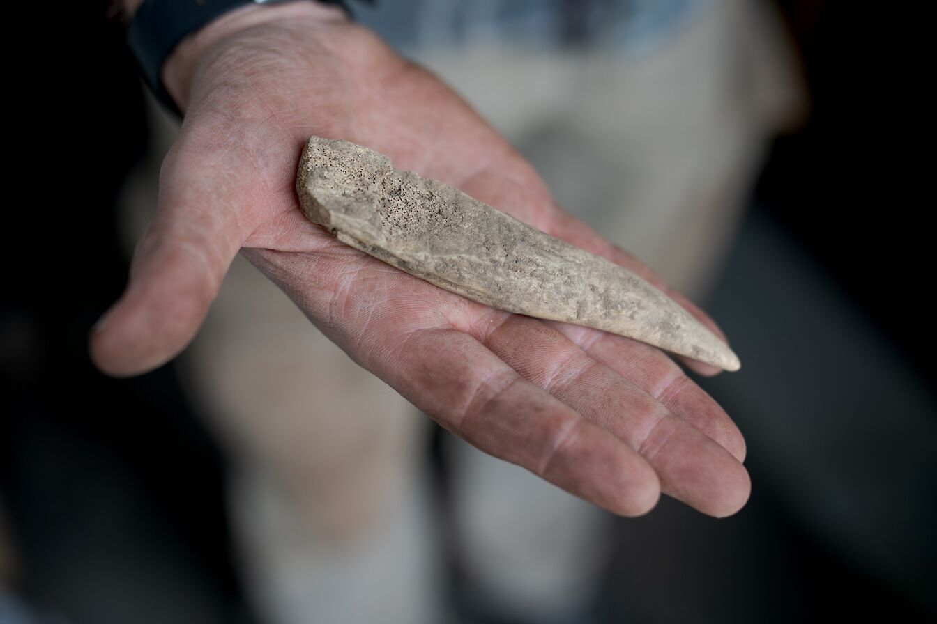 Antler peg, The Cairns, South Ronaldsay, Orkney