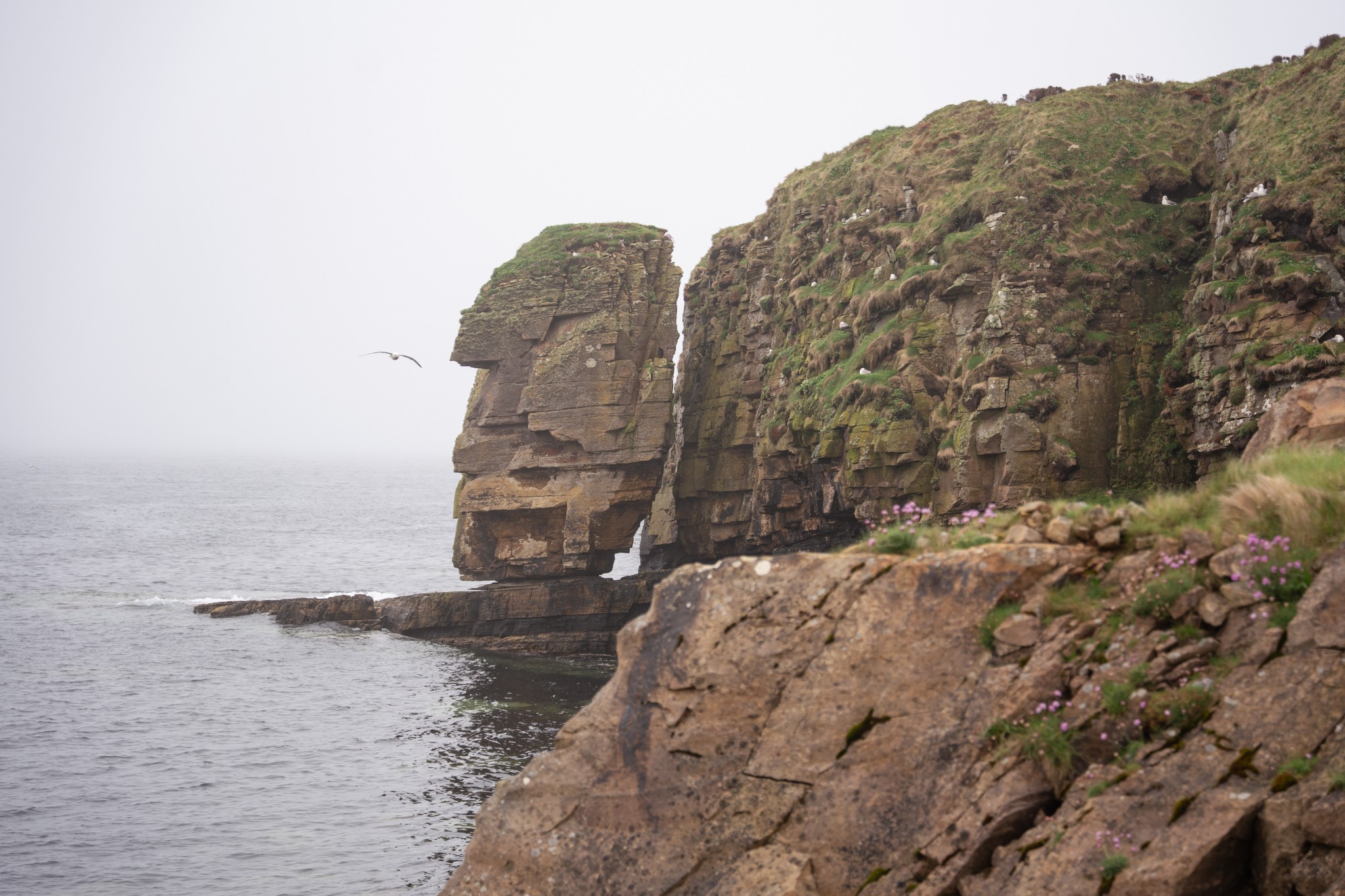 Sea stack on Shapinsay East Coast Walk, Orkney
