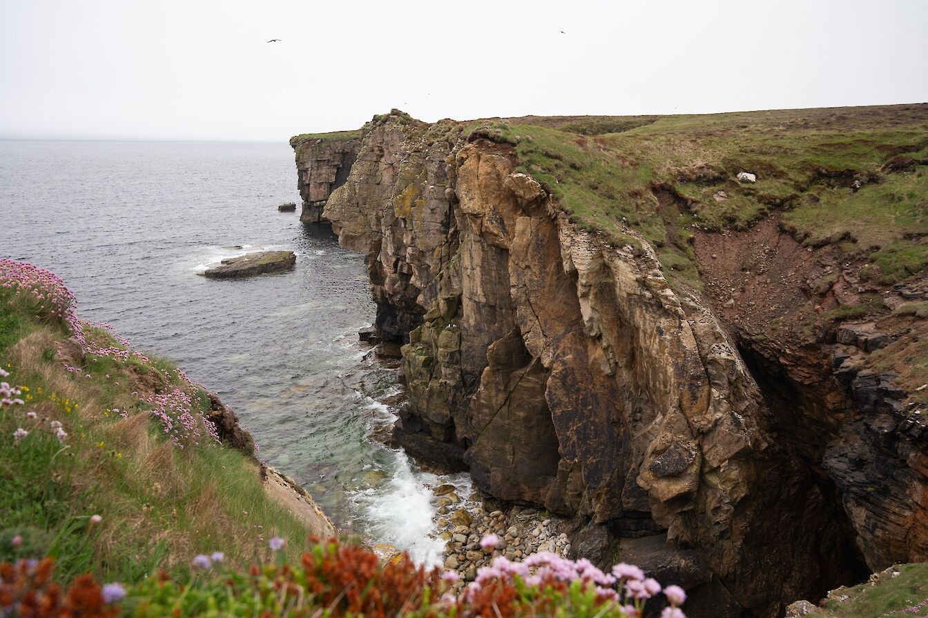 Coastline on Shapinsay East Coast Walk, Orkney