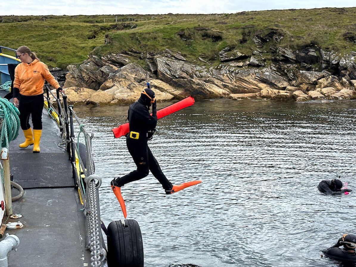 Boat snorkelling trip, Kraken Diving, Orkney