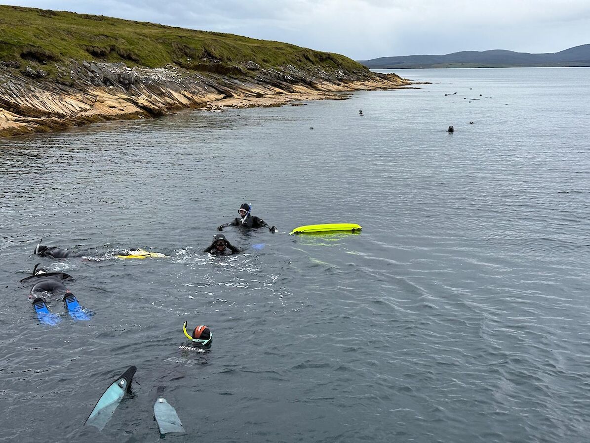 Boat snorkelling trip, Kraken Diving, Orkney