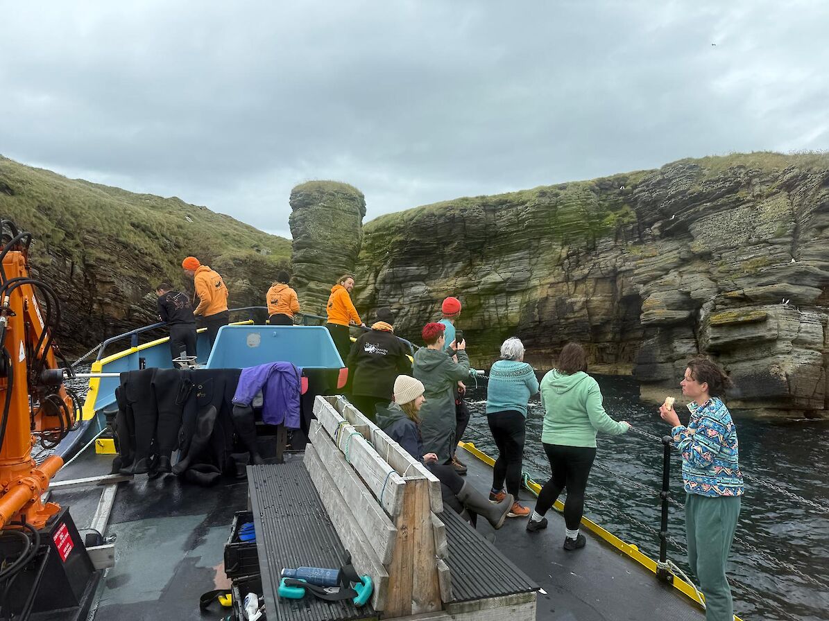 Boat snorkelling trip, Kraken Diving, Orkney