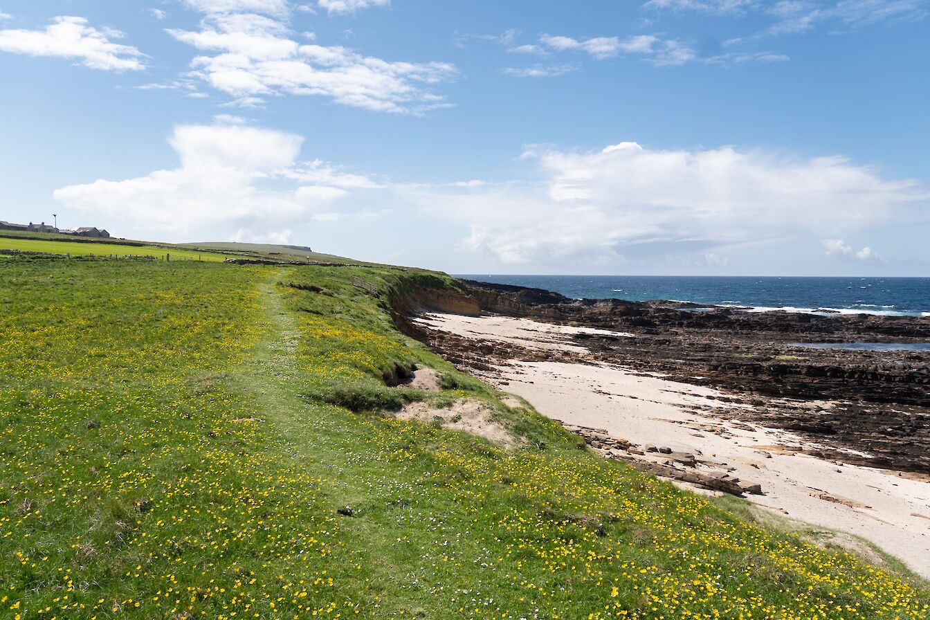 Coastal walk at Birsay, Orkney