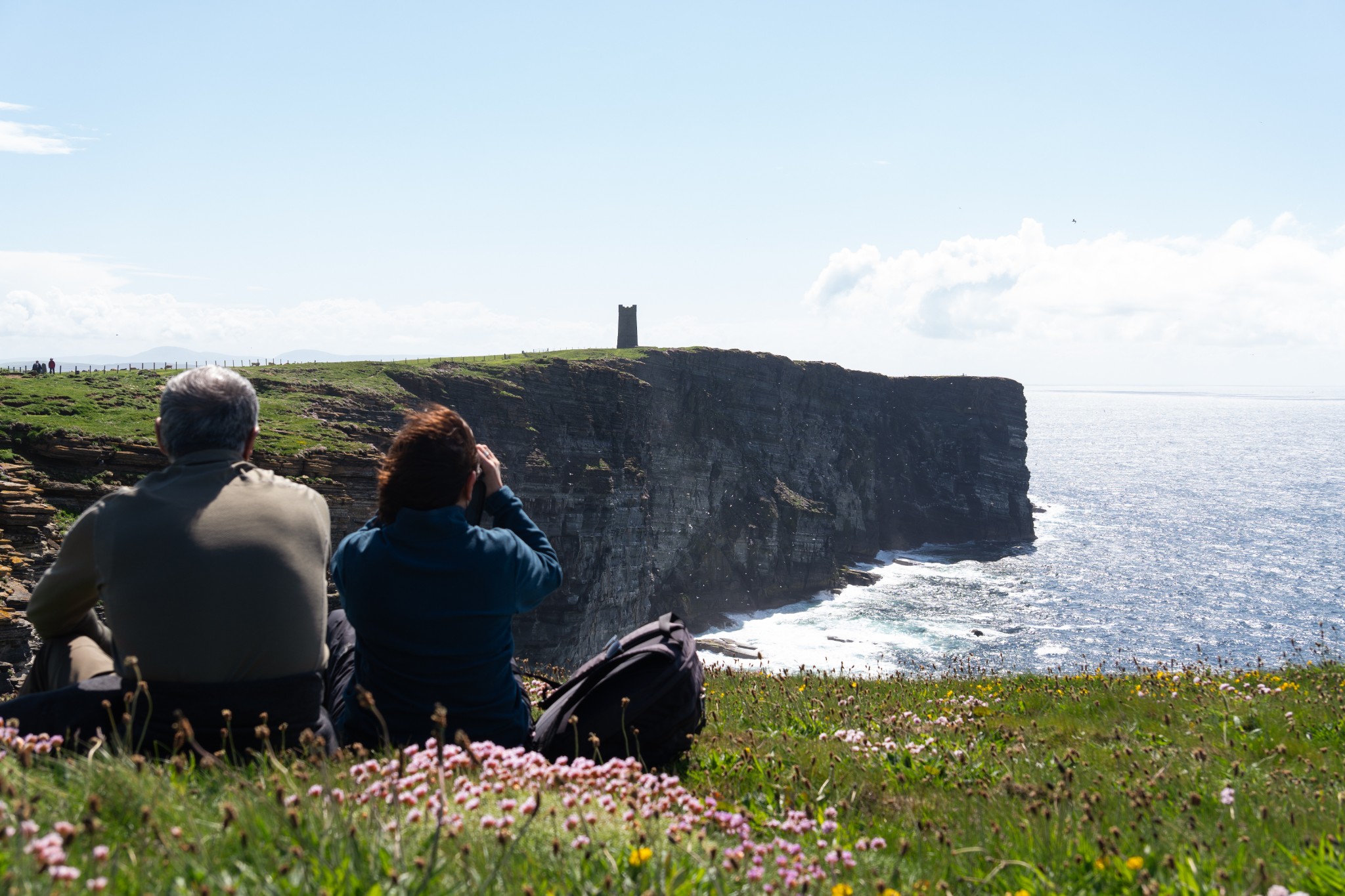 Birdwatching at Marwick Head, Orkney