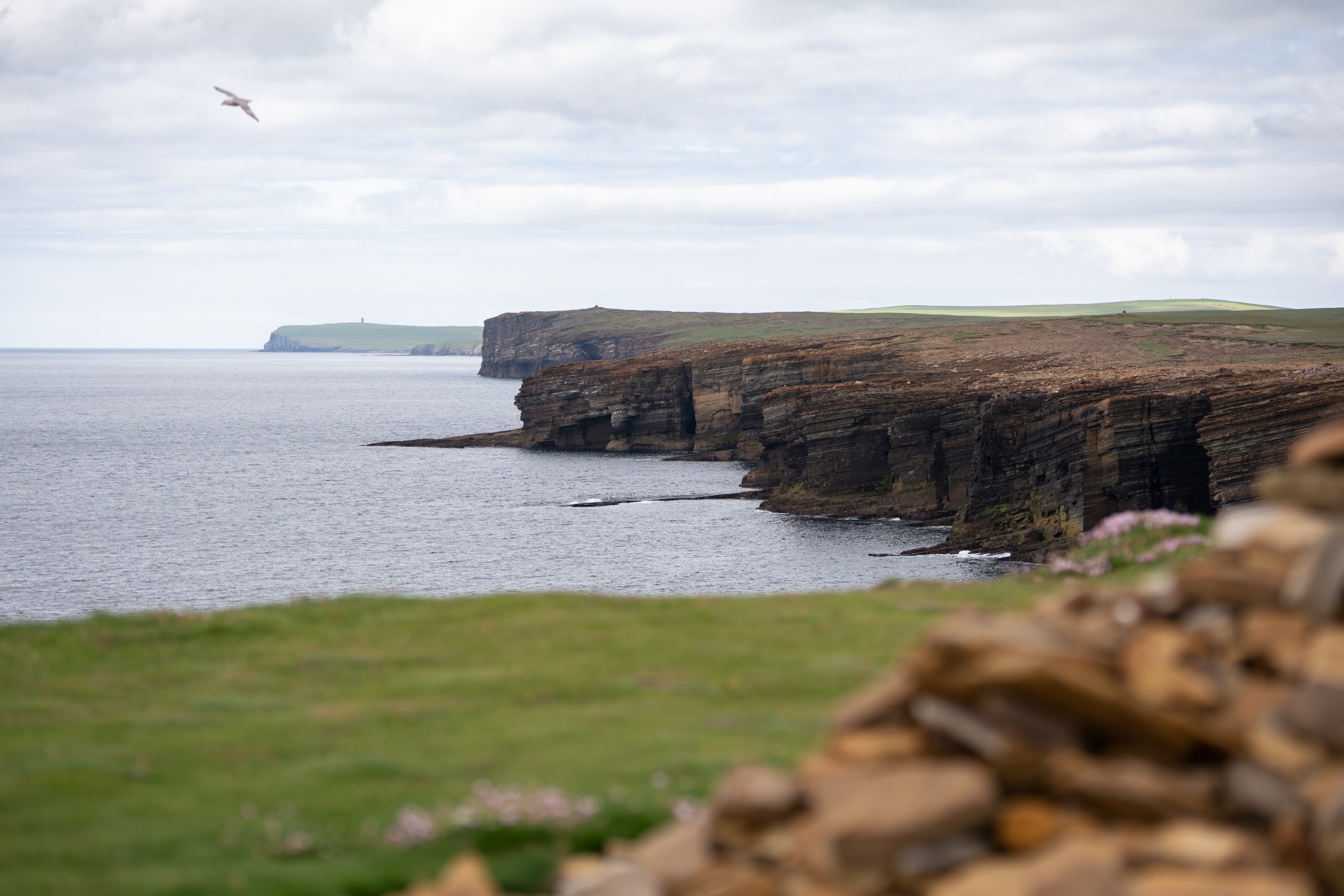 Coastline north of Yesnaby, Orkney