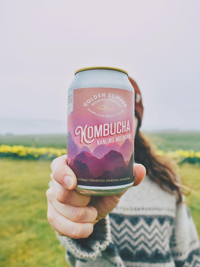 Nanling Mountains Kombucha from Golden Slipper Brewing Company