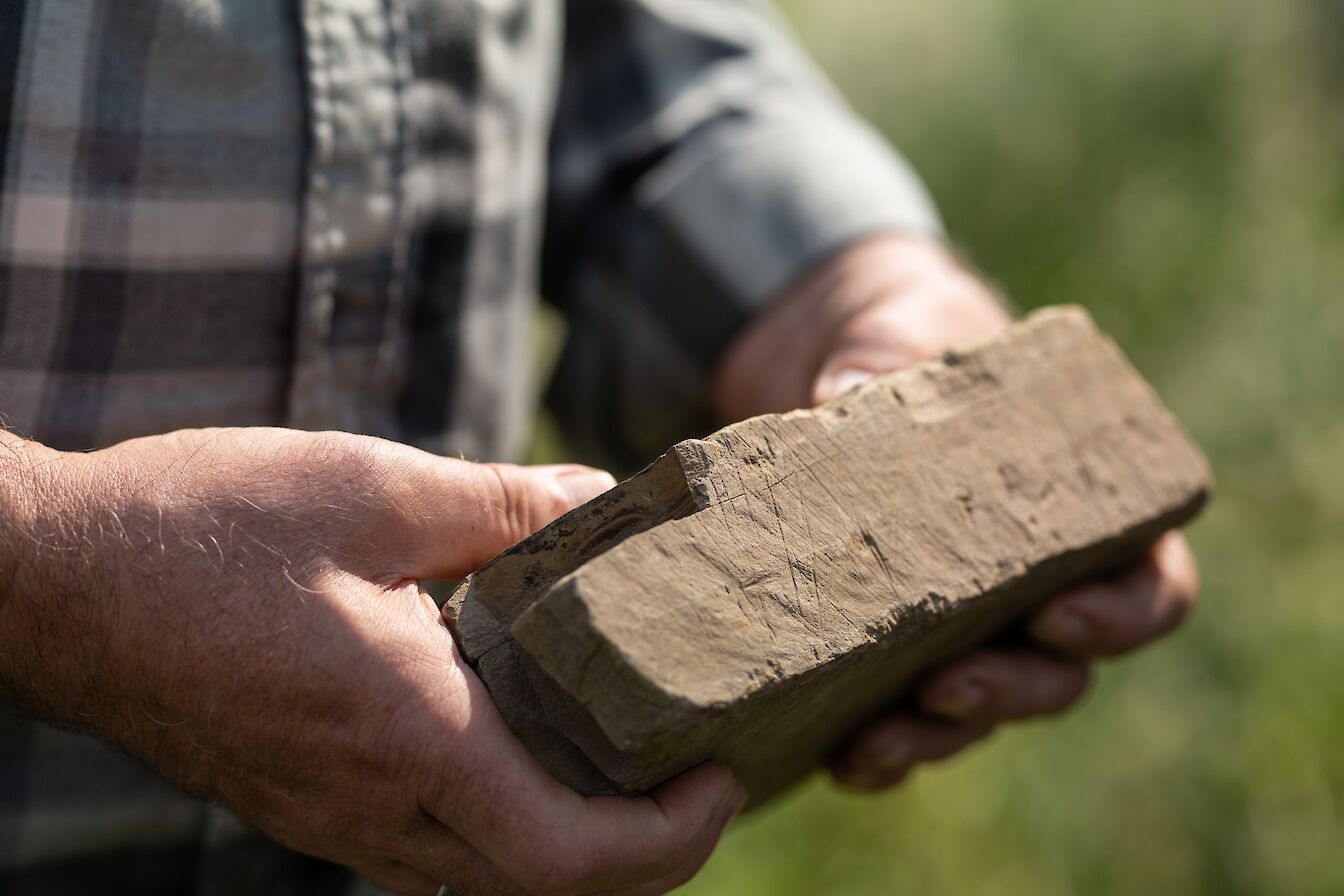 Decorated stone from Ness of Brodgar, Orkney