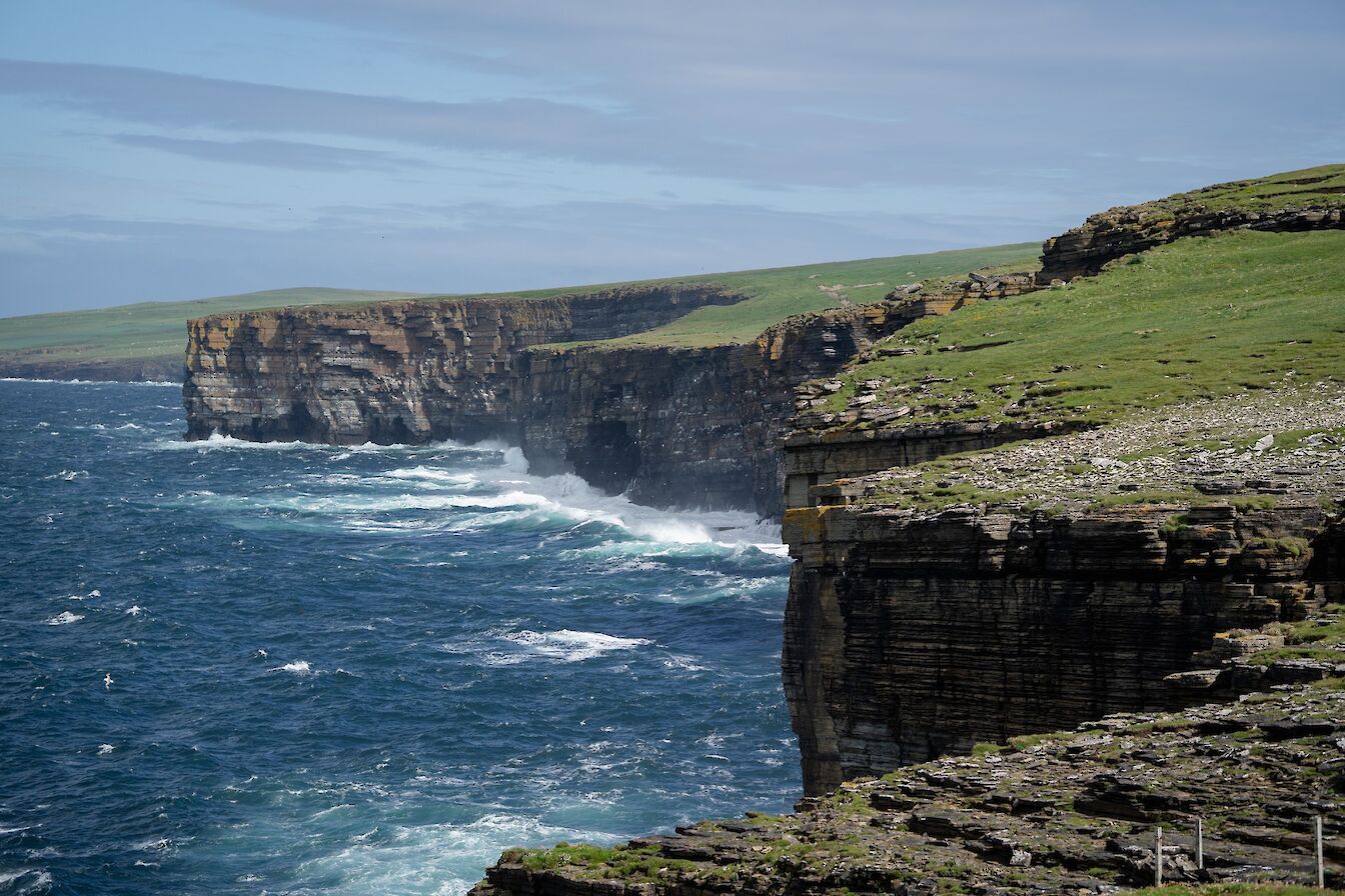 Coastal view, Westray