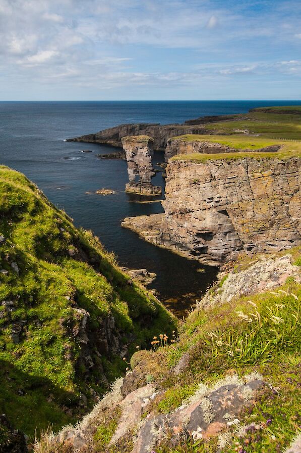 Yesnaby Castle, Orkney - image by Maciek Orlicki