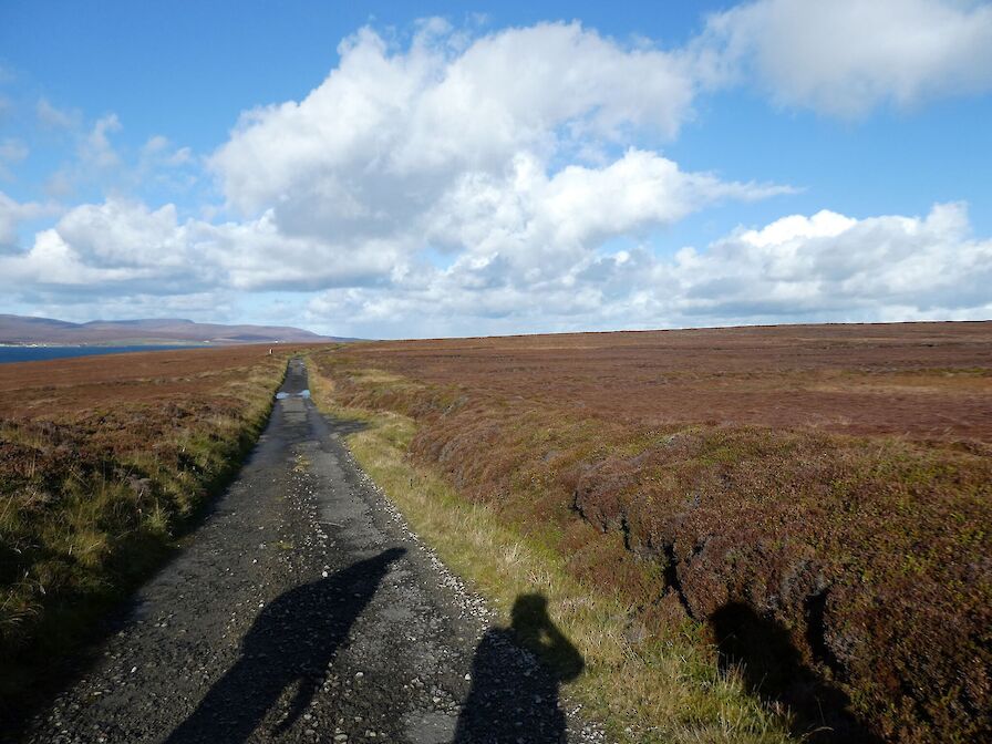 Flotta: A Hidden Gem - April to October