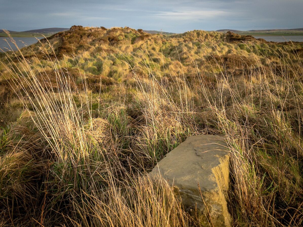 The Plumcake Mound, now severely damaged following 19th Century excavations - image by Sigurd Towrie