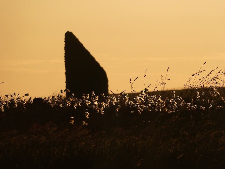 Winter Wildlife Walk - October to April