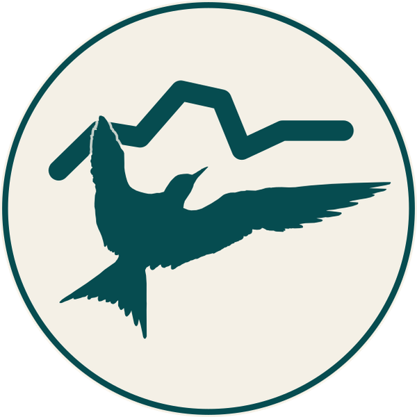 Lindstruments Logo