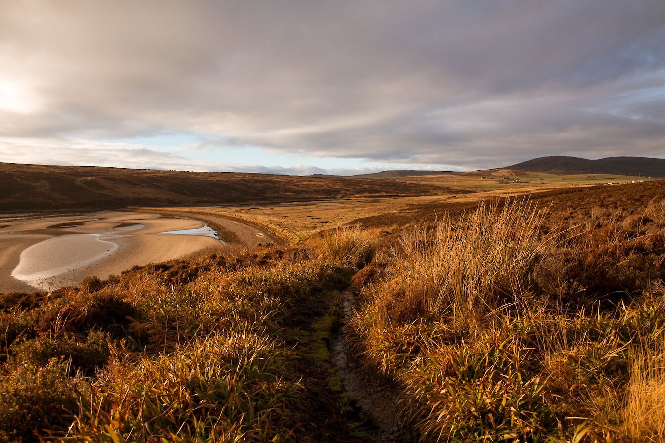 The path down to the back of the beach at Waulkmill