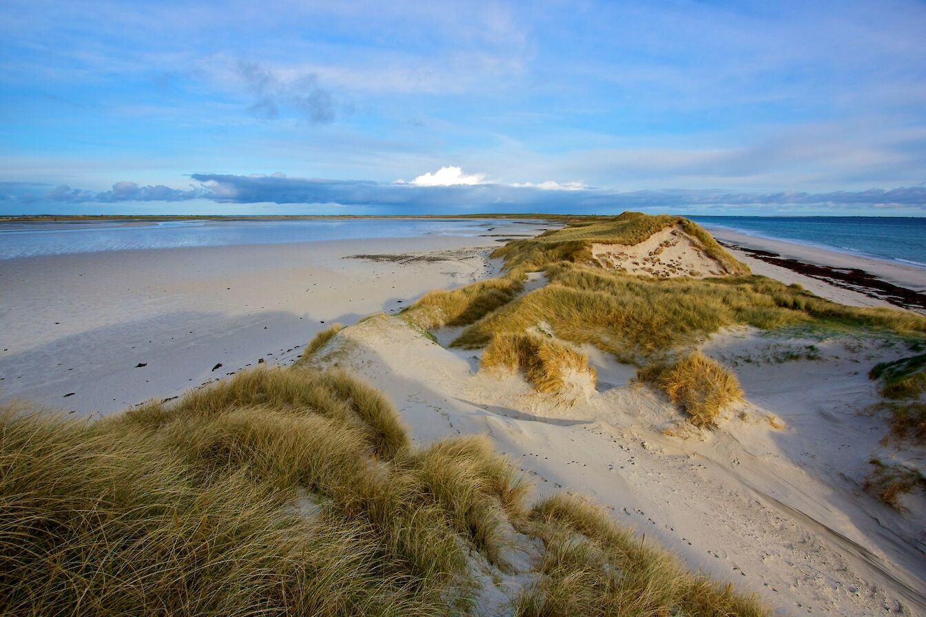 Image by Colin Keldie
