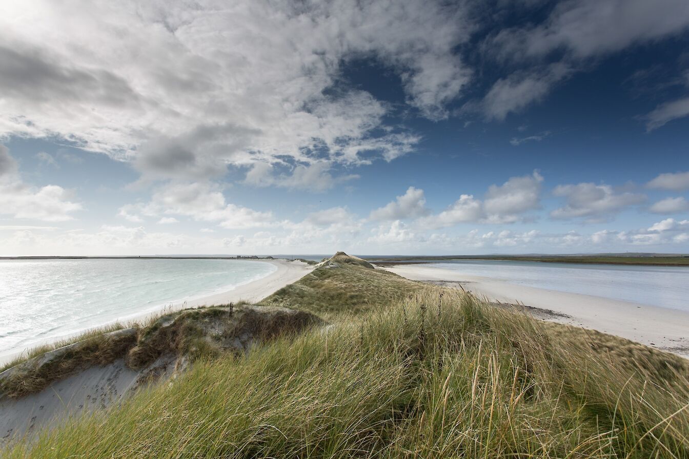 Tresness & Cata Sand, Sanday, Orkney