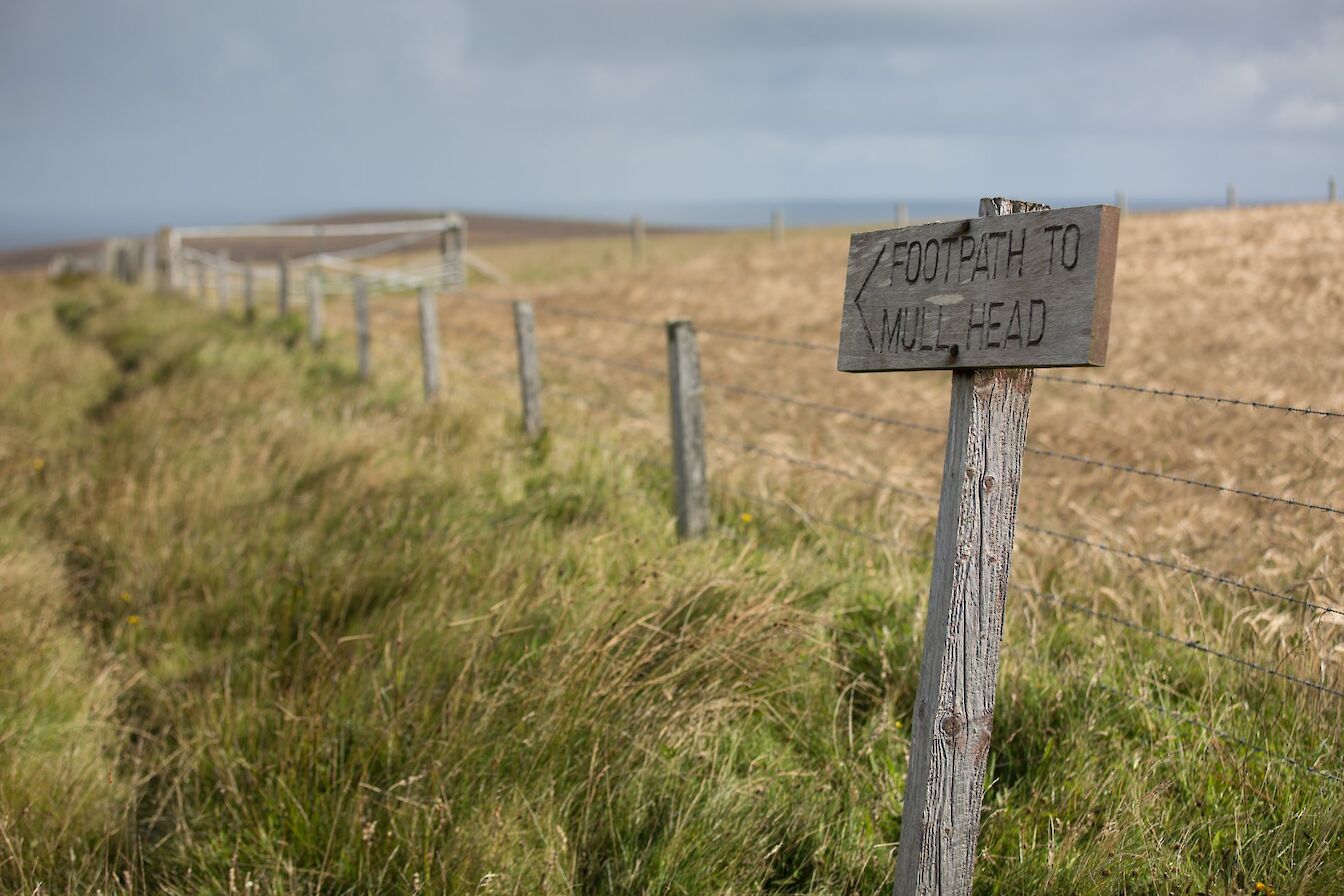 Path at View the Covenanters Memorial, Orkney